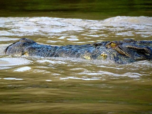 Poznávací zájezd Borneo