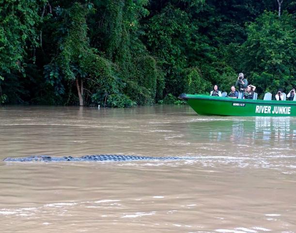 Poznávací zájezd Borneo