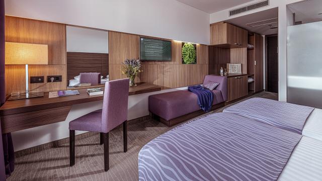 Dvojlôžková izba Standard (balkón, park strana)