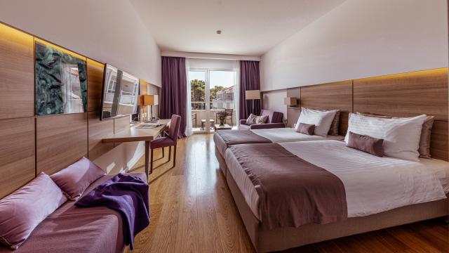 Dvojlôžková izba Superior (balkón, park strana)