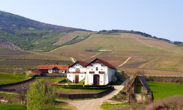 Tokajská oblasť v Maďarsku