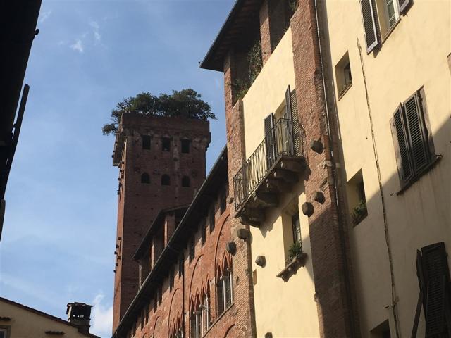 Florencia - Kráľovná renesancie- architektúra a pamiatky