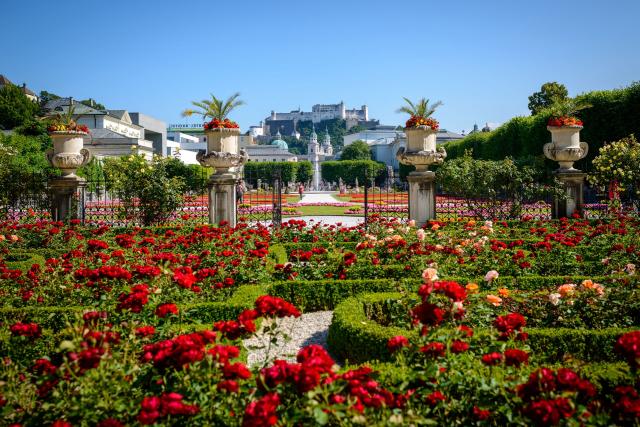 Salzburg - záhrada kvetov