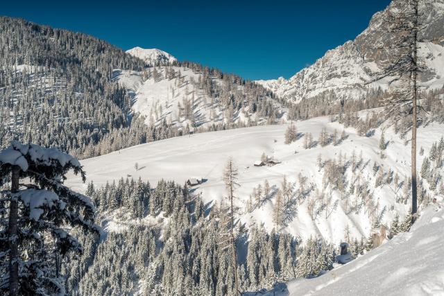 Rittis Alpin Chalets Dachstein