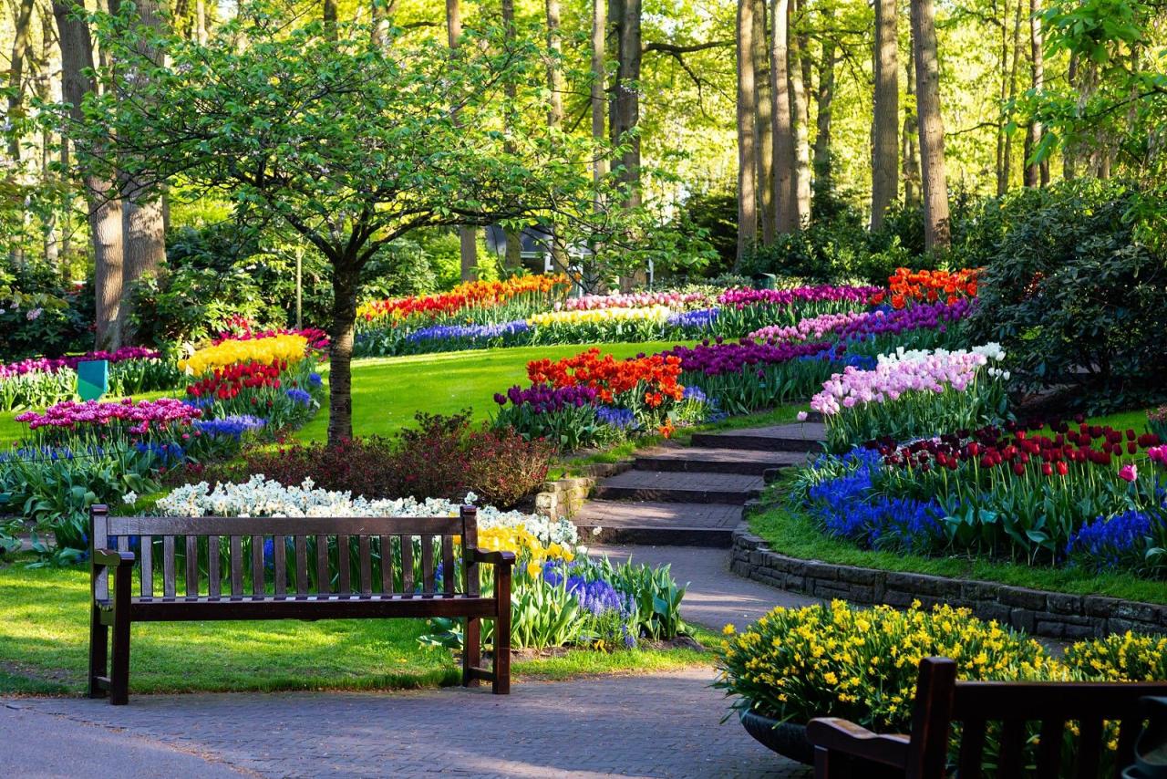 Holandsko na skok - Keukenhof, Květinové korzo 2025