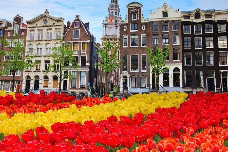 Holandsko na skok - Keukenhof, Květinové korzo 2025