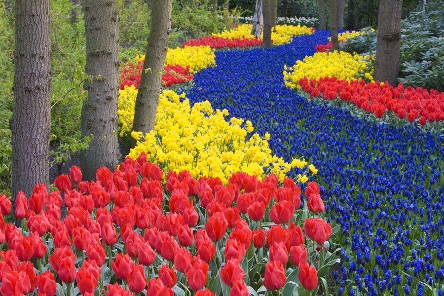 Holandsko na skok - Keukenhof, Květinové korzo 2025