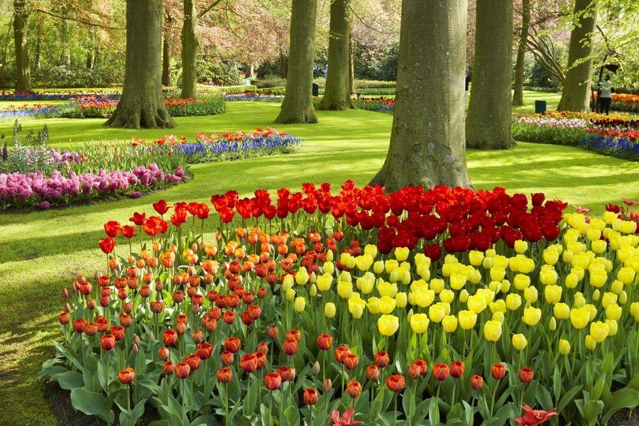 Holandsko na skok - Keukenhof, Květinové korzo 2025