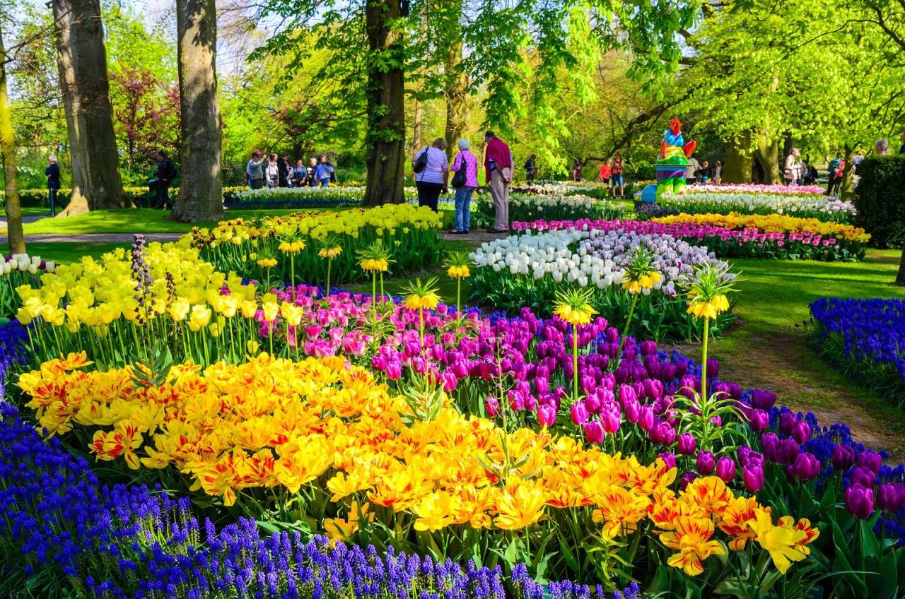 Holandsko na skok - Keukenhof, Květinové korzo 2025