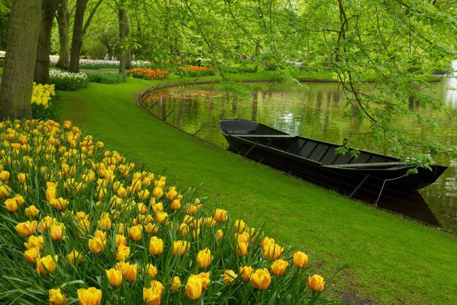 Holandsko na skok - Keukenhof, Květinové korzo 2025