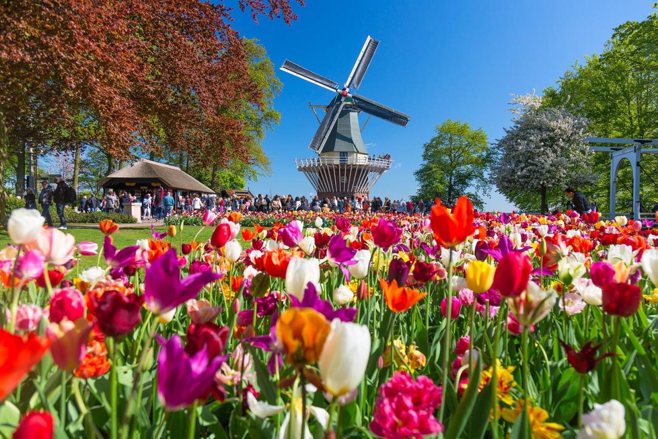 Holandsko na skok - Keukenhof, Květinové korzo 2025