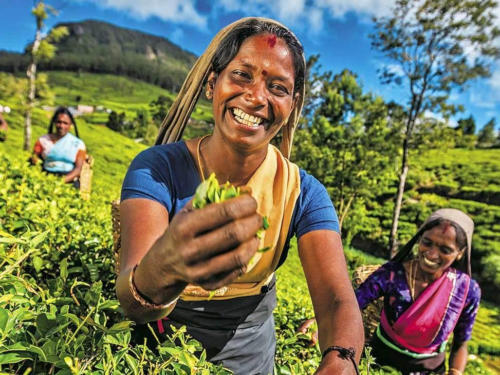 Sri Lanka eating with hands.