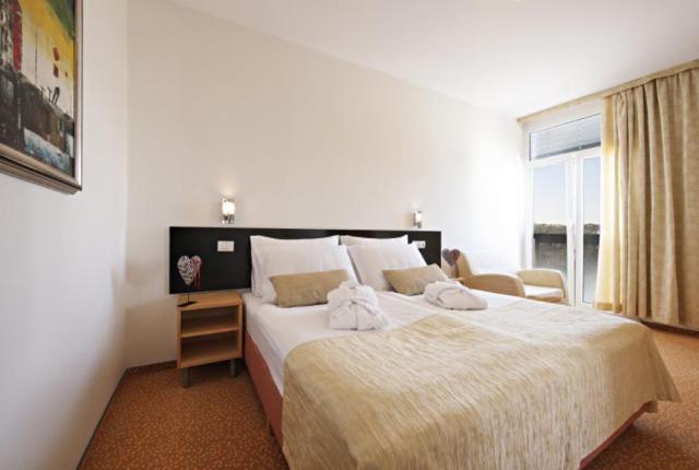 Hotel Radin