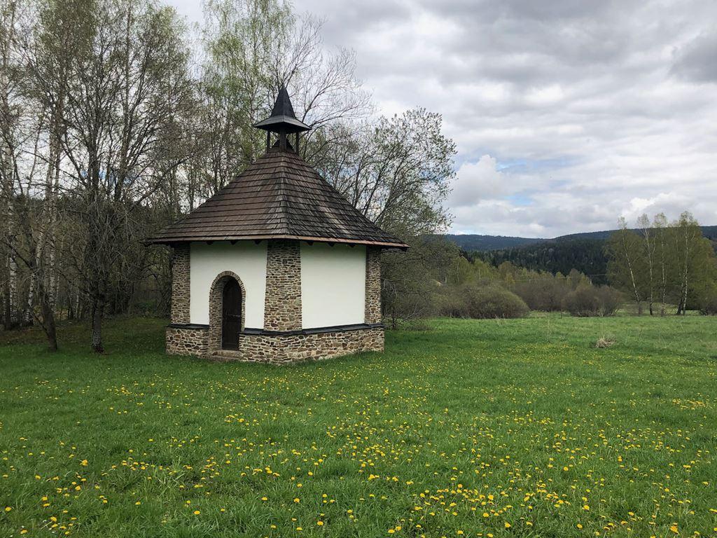 Srní