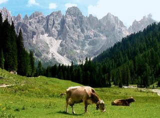 Srdce Dolomit III - Mt. Civetta, Pala di San Martino