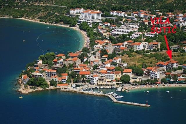 Šutič