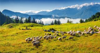 Pohodový týden v Alpách - Slovinsko - NP Triglav a Slovinské moře