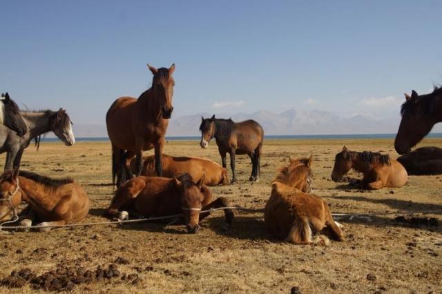 Kyrgyzstán - rajská příroda jezer a hor