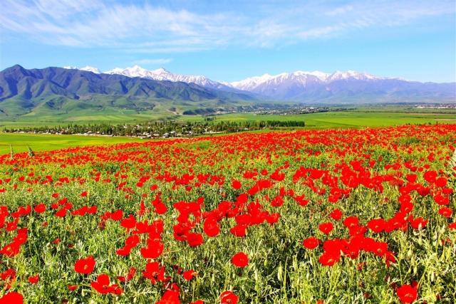 Kyrgyzstán - rajská příroda jezer a hor